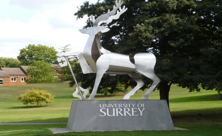 Surrey Uni