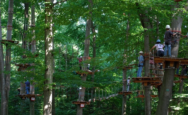 ropes_course